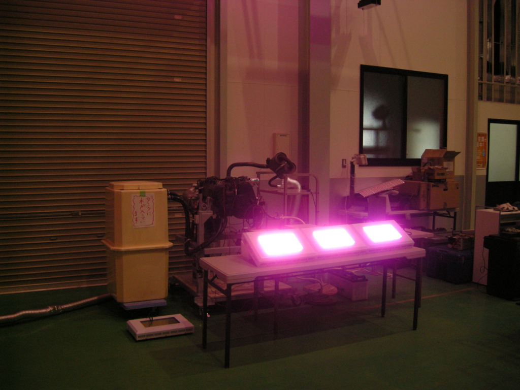 発電電力によるLEDの点灯試験